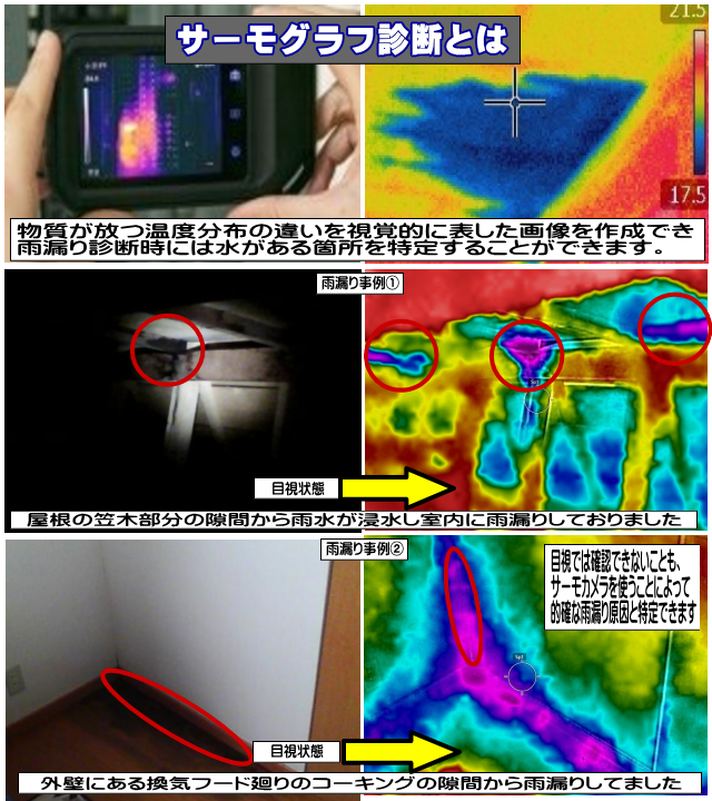 サーモグラフ診断とは