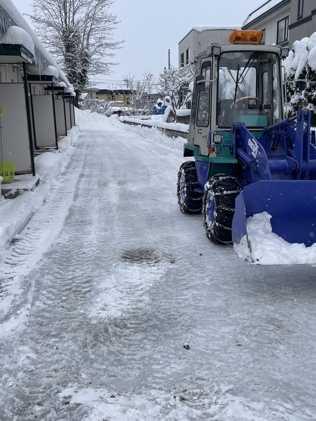 青森市　除雪